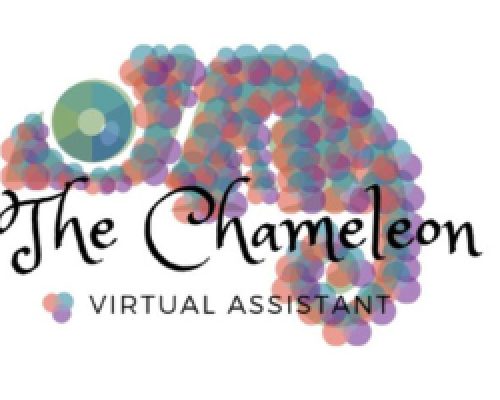 Business-to-Business: The Chameleon on Virtual Assistant Hiring